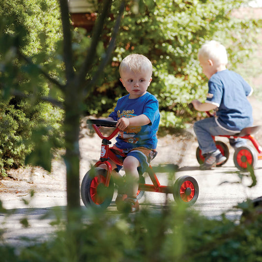 Winther Mini Viking Push Car with Steering Wheel (Tricycle)