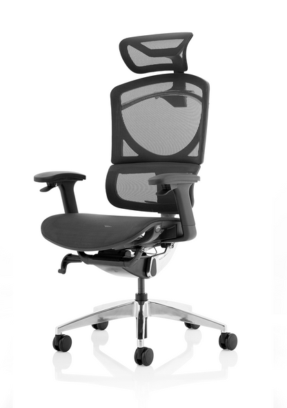 Ergo Click Plus High Back Ergonomic Posture Office Chair with Arms and Headrest